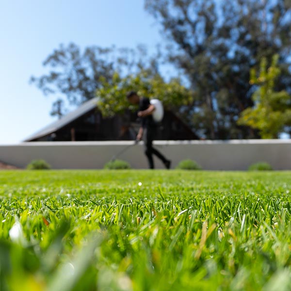 landscape maintenance 43