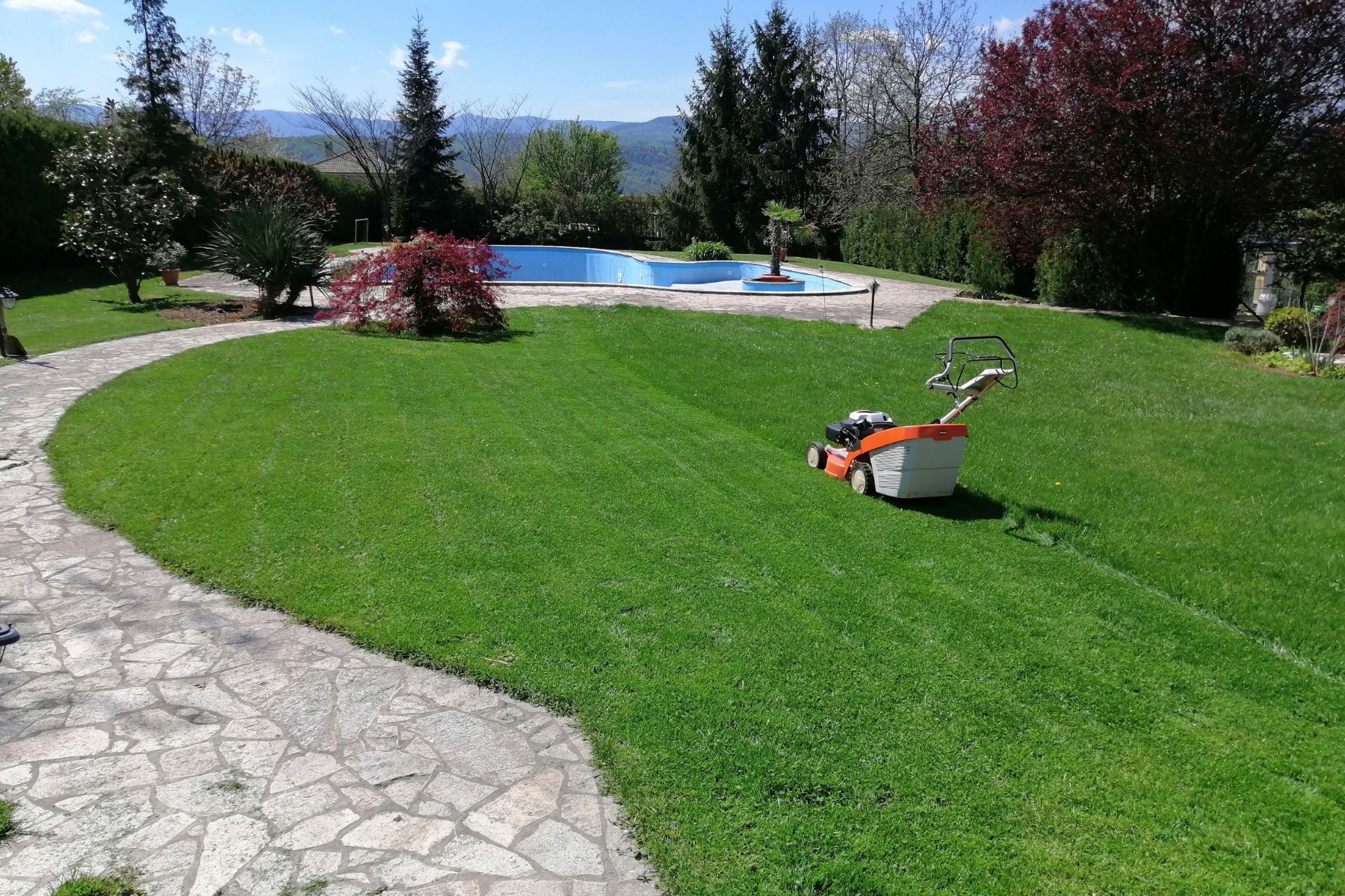 Ozelenqvane Sofia